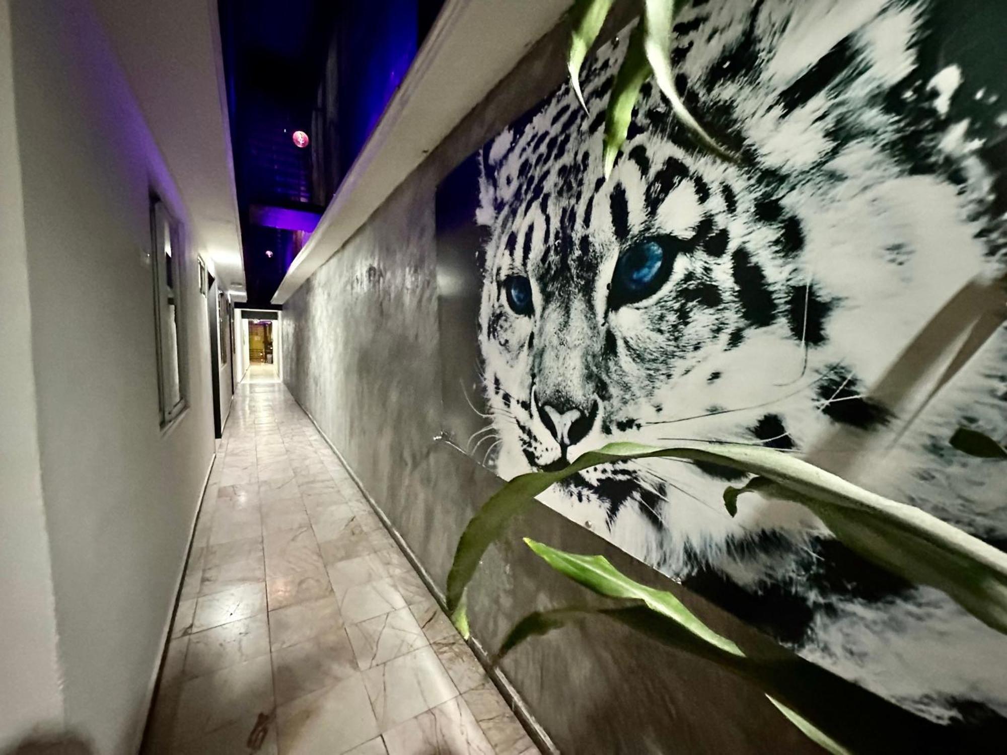 Hotel Zyan