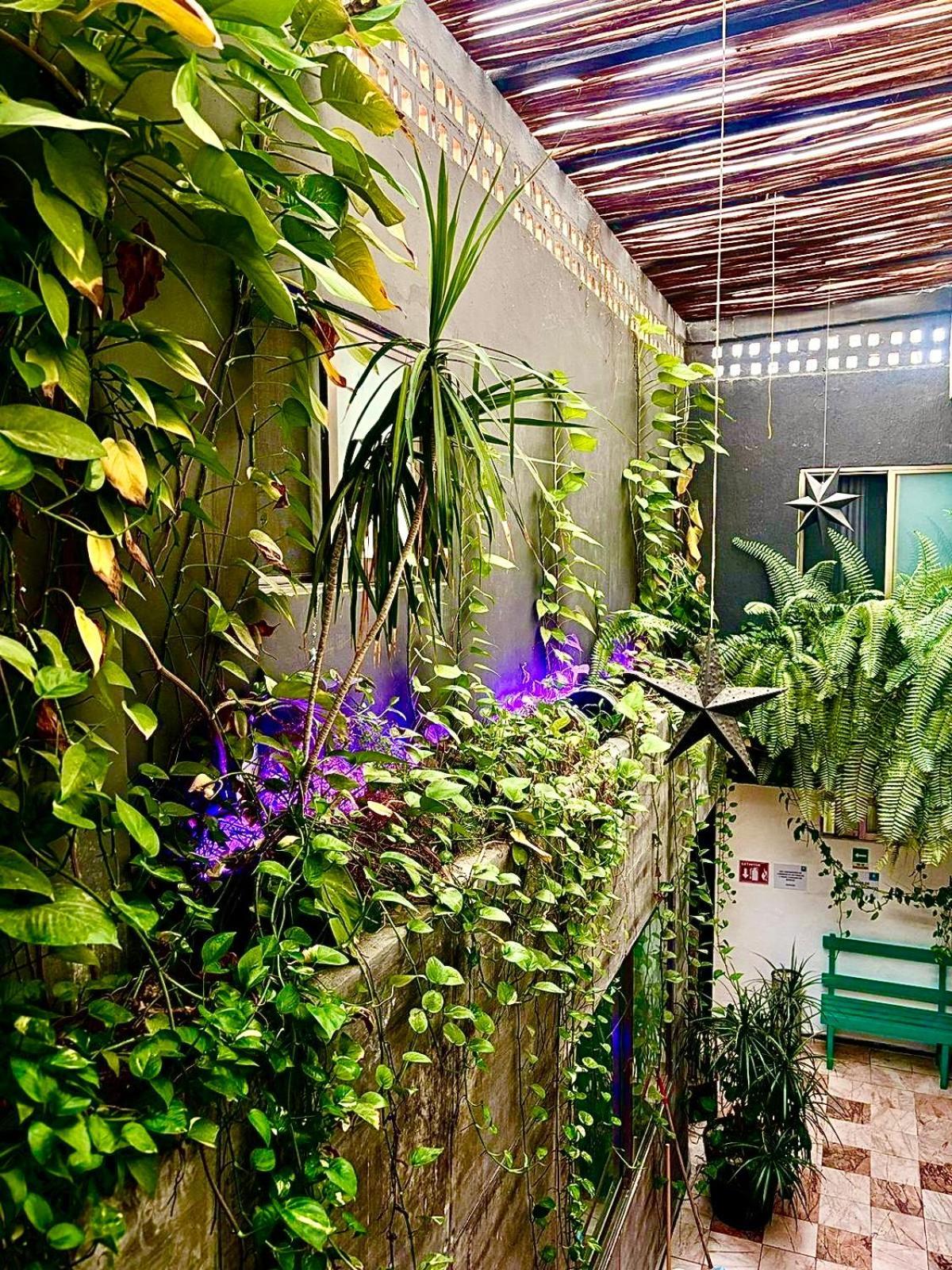 Zyan Hotel Villahermosa